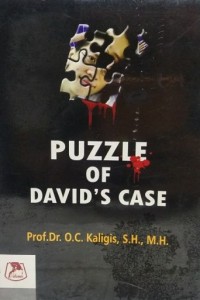 Image of PUZZLE OF DAVID`S CASE